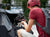 The AddBike+ Carry'Dog Kit Dog Bike Trailer | Front Mounted