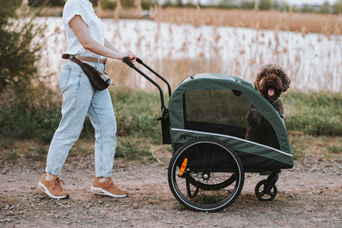 Petrive Active ONE | Dog Bike Trailer | 2-in-1 Stroller Combo | Forest Green