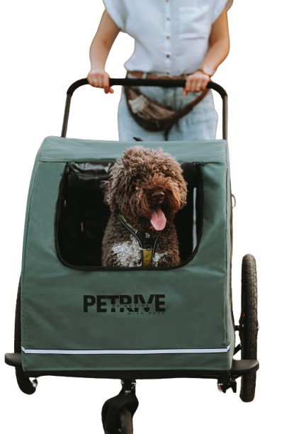 Petrive Active ONE | Dog Bike Trailer | 2-in-1 Stroller Combo | Forest Green