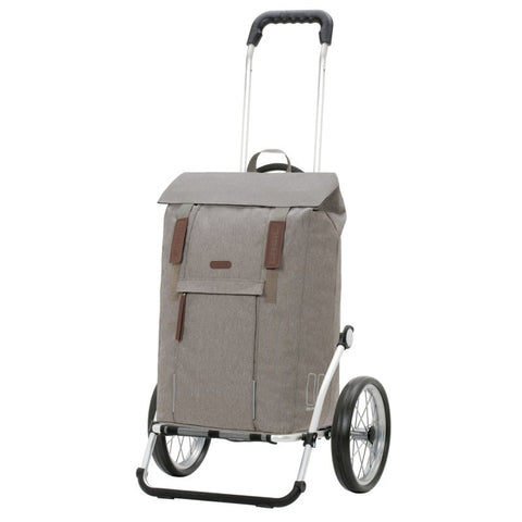 168-240-20 | Andersen Royal Frame | Basil City Bag Bag | Silver/Grey | gallery 1 | Hitch A Bike