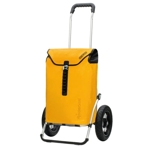 165-082-14 | Andersen Royal Frame | Ortlieb Bag Bag | Yellow | gallery 1 | Hitch A Bike