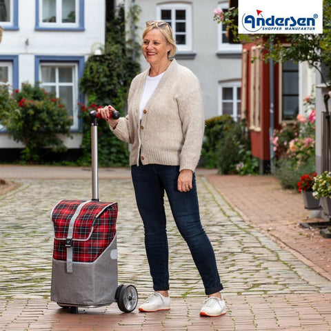 Andersen - Shopper - Andersen - Shopper | Bike Trailer Shopping Trolley | Unus Frame | Gese Bag - Hitch A Bike - 140-216-70
