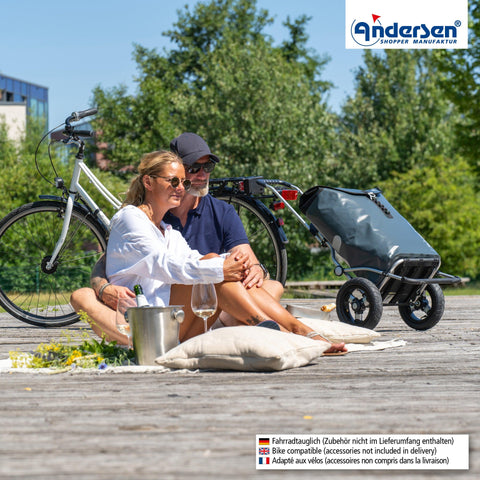 Andersen-Shopping - Andersen-Shopper | Bike Trailer | Shopping Trolley | Royal Frame | Ortlieb Bag - 166-082-14 - Hitch A Bike - United Kingdom