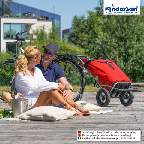 Andersen-Shopping - Andersen-Shopper | Bike Trailer | Shopping Trolley | Royal Frame | Ortlieb Bag - 166-082-14 - Hitch A Bike - United Kingdom