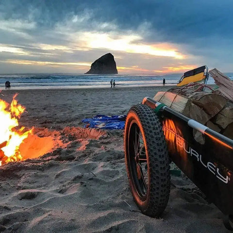 Burley - Burley Flatbed Cargo Trailer - Hitch A Bike - BUR941206
