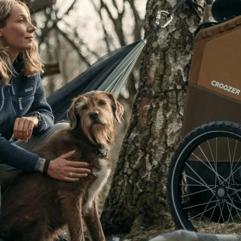 Croozer - Croozer Mikke Dog Bike Trailer - Large - Dogs up to 45kg - Moss Green - Hitch A Bike - 121005422