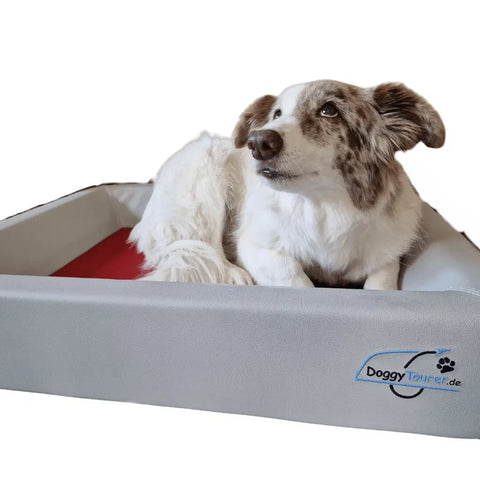 Doggy Tourer - Doggy Tourer Dog Bike Trailer - Dog Bed - Hitch A Bike - KD-110050