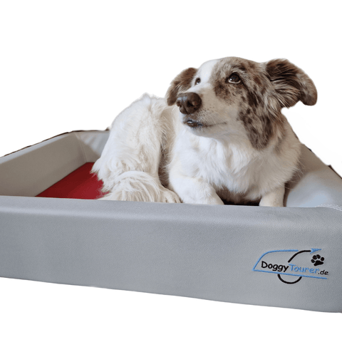 Doggy Tourer - Doggy Tourer Dog Bike Trailer | Dog Bed - Hitch A Bike - KD-110050