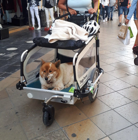 Doggy Tourer - Doggy Tourer - Dog Bike Trailer - Snoopy - Medium - 6 Colour Variants - Hitch A Bike - KD-111000
