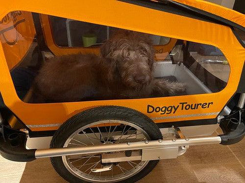 Doggy Tourer - Doggy Tourer | Dog Bike Trailer | Marley | Large - KD-121000-O - Hitch A Bike - United Kingdom