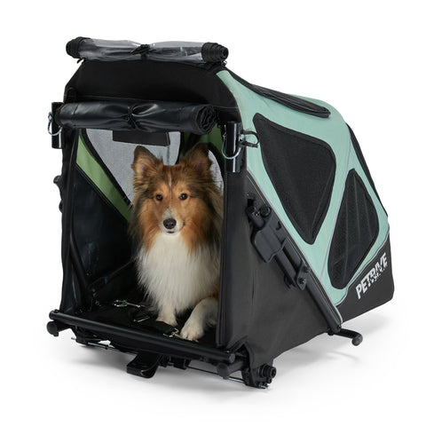 Hitch A Bike - Petrive GGBike | Dog Bike Trailer | 2-in-1 Stroller Combo | Turquoise - Hitch A Bike - GGBIKE-2IN1-T
