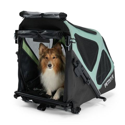 Petrive GGBike | Dog Bike Trailer | 2-in-1 Stroller Combo | Turquoise