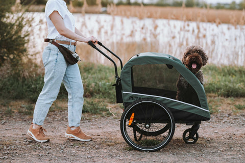 Petrive - Petrive Active ONE | Dog Bike Trailer | 2-in-1 Stroller Combo | Forest Green - Hitch A Bike - PTTRACTIVDGRSET1