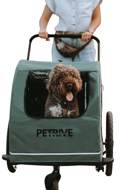 Petrive - Petrive Active ONE | Dog Bike Trailer | 2-in-1 Stroller Combo | Forest Green - Hitch A Bike - PTTRACTIVDGRSET1