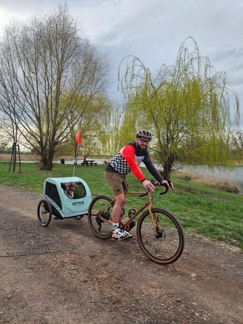 Petrive - Petrive Active ONE | Dog Bike Trailer | 2-in-1 Stroller Combo | Turquoise - Hitch A Bike - PTTRACTIVGRESET1