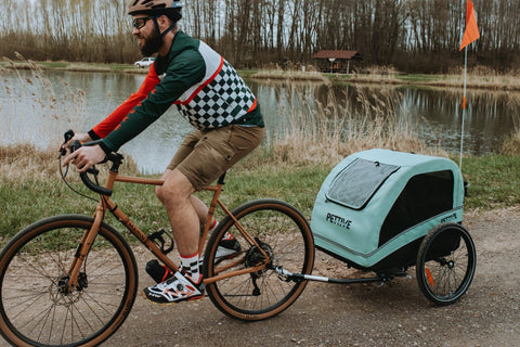 Petrive - Petrive Active ONE | Dog Bike Trailer | 2-in-1 Stroller Combo | Turquoise - Hitch A Bike - PTTRACTIVGRESET1