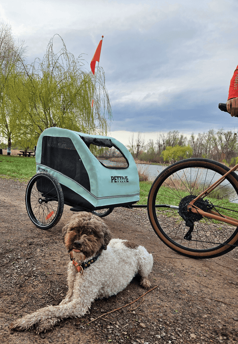 Petrive - Petrive Active ONE | Dog Bike Trailer | 2-in-1 Stroller Combo | Turquoise - Hitch A Bike - PTTRACTIVGRESET1