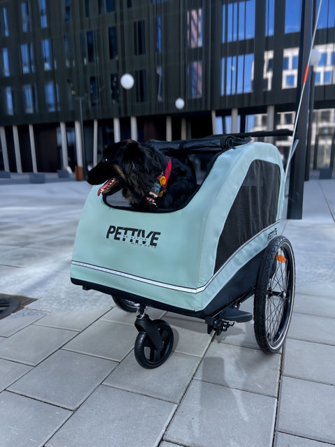 Petrive - Petrive Active ONE | Dog Bike Trailer | 2-in-1 Stroller Combo | Turquoise - Hitch A Bike - PTTRACTIVGRESET1