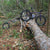 BOB Cargo Bike Trailer BOB | Cargo Bike Trailer | IBEX 28" | Gold