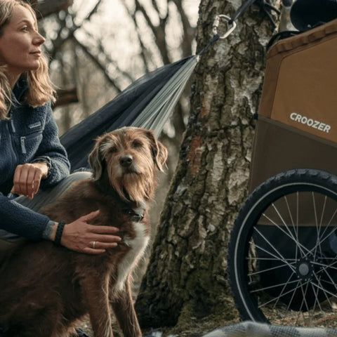 Croozer - Croozer Tammo Dog Bike Trailer | X-Large | Dogs up to 45kg | Sundown Yellow - 121005522 - Hitch A Bike - {{ shop.shopifyCountryName }}