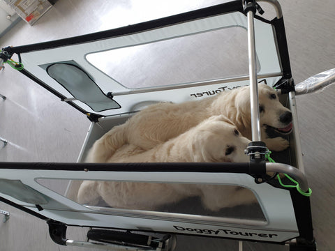 Doggy Tourer - Doggy Tourer | Dog Bike Trailer | Beethoven | XL - KD-131000 - Hitch A Bike - United Kingdom