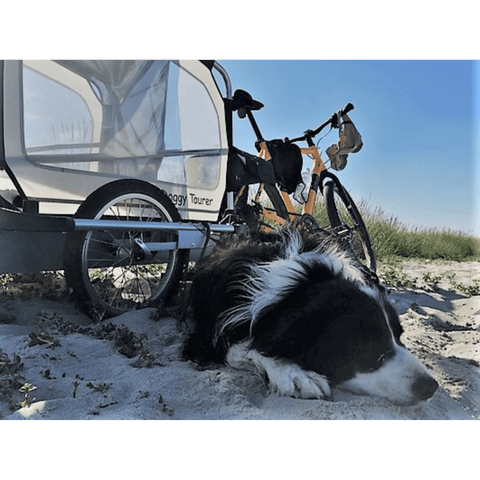 Doggy Tourer - Doggy Tourer | Dog Bike Trailer | Marley | Large - KD-121000-S - Hitch A Bike - United Kingdom