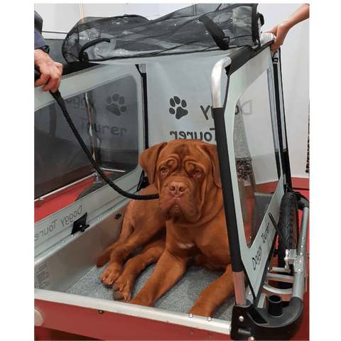 Doggy Tourer - Doggy Tourer | Dog Bike Trailer | Marley | Large - KD-121000-S - Hitch A Bike - United Kingdom