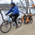 Dutch Dog Bike Trailer | Pet DoggyRide Novel 15 Dog Bike Trailer | Orange | Incl. Britch Lite | Dutch Dog Design®