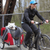 Dutch Dog Bike Trailer | Pet Novel DoggyRide Dog Bike Trailer by Dutch Dog - Red