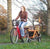 Dutch Dog - DoggyRide Mini 2020 Dog Bike Trailer | Orange | Axle Coupling | Dutch Dog Design® - DRMNTR22-OR - Hitch A Bike - United Kingdom