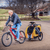 Dutch Dog - DoggyRide Novel 15 Dog Bike Trailer | Orange | Incl. Britch Lite | Dutch Dog Design® - DRN15TR22-OR - Hitch A Bike - United Kingdom