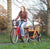 Dutch Dog Pet Pushchairs and Strollers DoggyRide Mini 2020 Dog Bike Trailer | Orange | Axle Coupling | Dutch Dog Design®