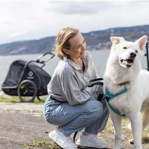 Hamax - Hamax Pluto Dog Pram & Dog Bike Trailer | Large | Navy - Hitch A Bike - HAM400502